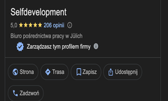 Wizytówka Google — podgląd poradnika